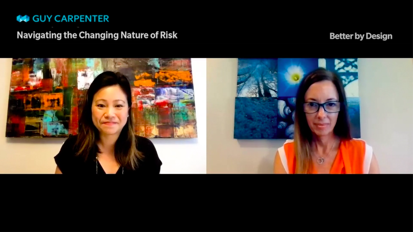 screen grab of navigating the changing nature of risk video