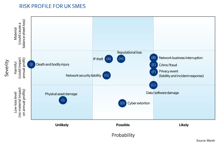Businesses and Their Exposures: Small and Medium-Sized Businesses