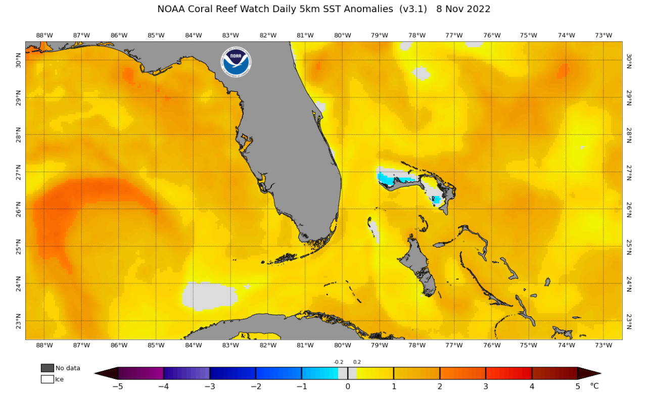 November sea surface temperature (SST) anomalies surrounding Florida. East of Florida, SSTs are 2-4 degrees Fahrenheit above average for this time of year. Source: NOAA.