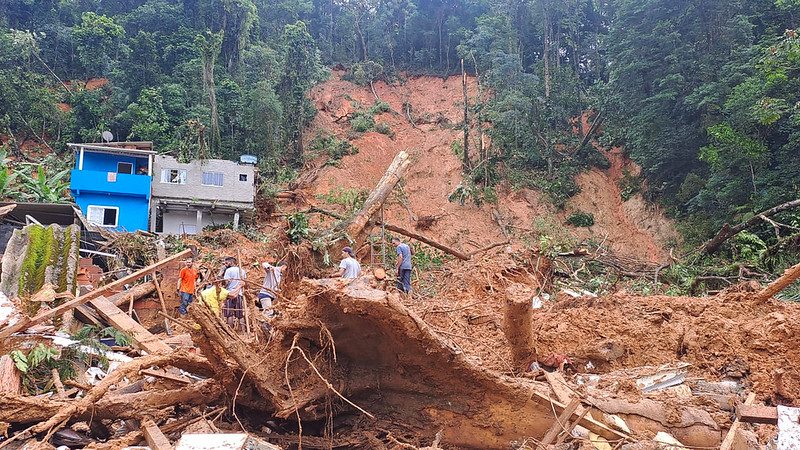 People surveying uprooted trees and landslide damage