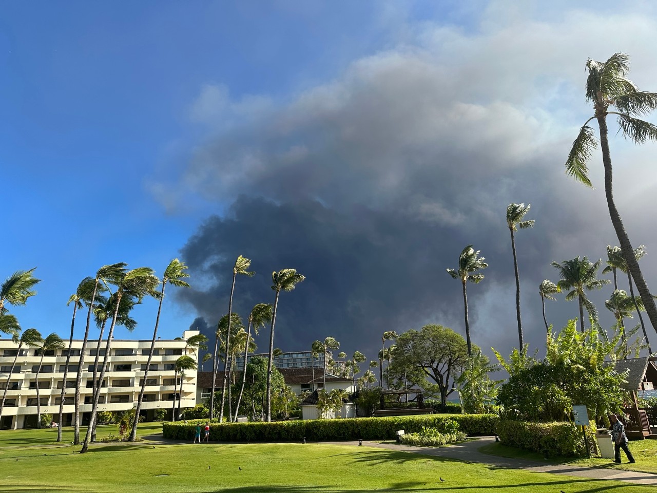 A view from a resort in Ka'anapali looking south towards Lahaina on August 9th. Source: Guy Carpenter event reconnaissance