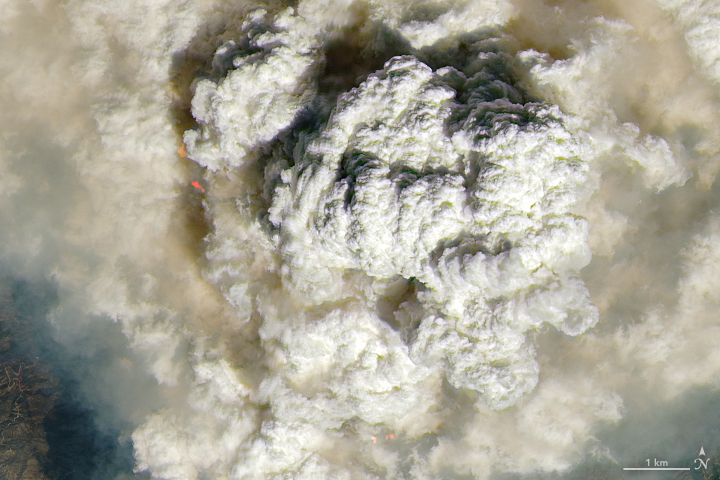 Pyrocumulus clouds from wildfires