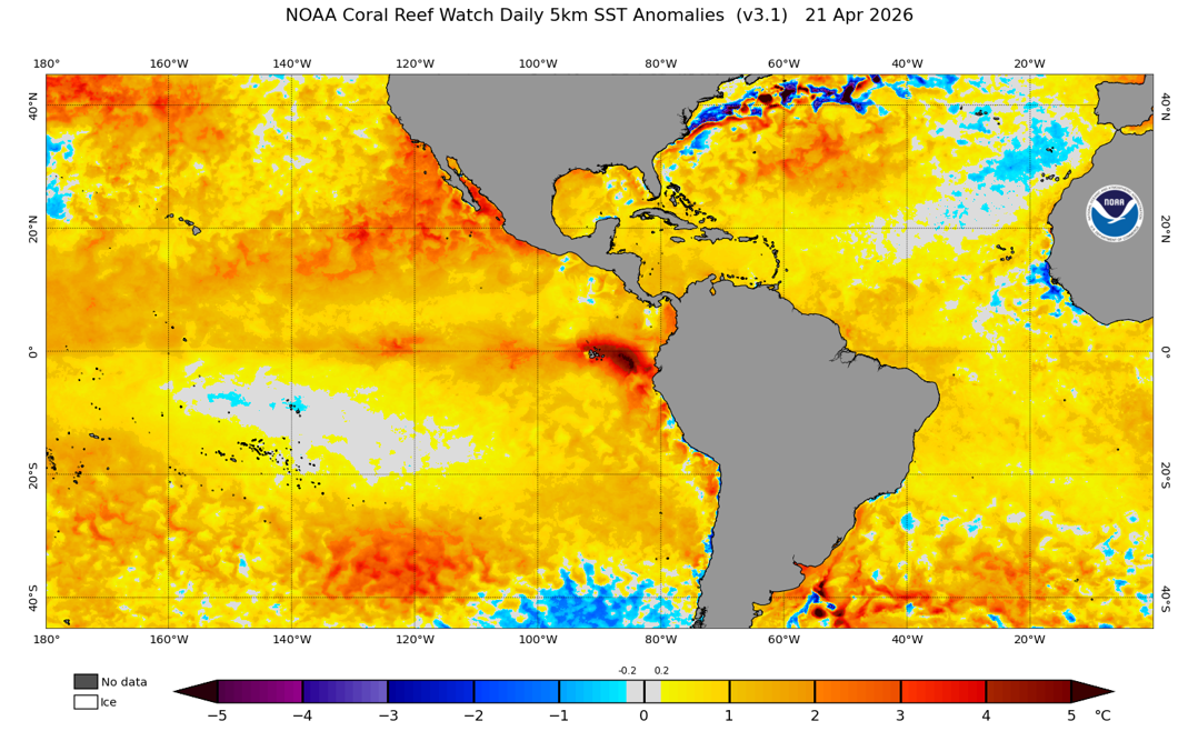 Sea Surface Temperature Anomaly in the tropics, showing strong warm anomalies in the Eastern Pacific along the coast of Peru and Ecuador, which can be a potential indicator for El Nino development. Source: NOAA