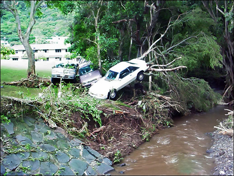 Flood waters pushed vehicles into the trees downstream from the Woodlawn Drive Bridge. Source: NWS