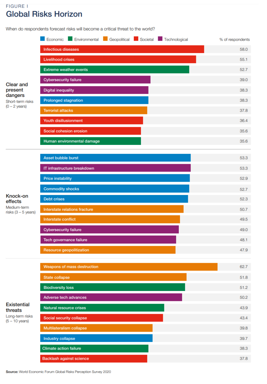 Global Risks Horizon